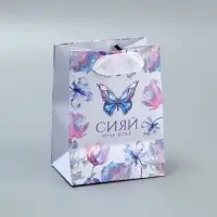 Пакет подарочный ламинированный, упаковка, &laquo;Сияй&raquo;, 9&times;12&times;6.5 см