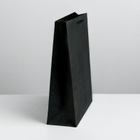 Пакет подарочный ламинированный вертикальный, упаковка, &laquo;Мужская воля&raquo;, M 25.5 х 30 х 9 см