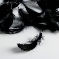 Наполнитель для шаров и подарков, упаковка, &laquo;Волшебство&raquo; , 15 х 11 см