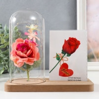 Фоторамка 9х13 см свет "Розовая роза в колбе" от батареек 2хLR1130 9,8х19,5х18 см