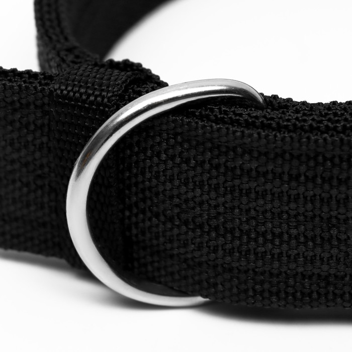 Ошейник четырехслойный, 64 х 4 см, ОШ 50-58 см, полиэстер, чёрный