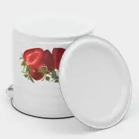 Ведро ц/шт с/кр 12л (белая)СА