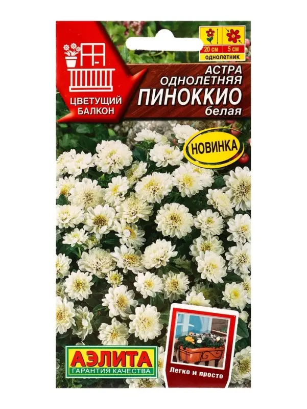 Семена цветов Астра Пиноккио белая  Цветущий балкон, Ц/П,0,05 г
