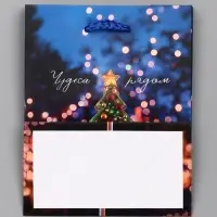 Пакет подарочный новогодний ламинированный, &laquo;Дед Мороз&raquo; , 11.5&times;6.5&times;14.5 см