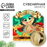 Монета новогодняя &laquo;Богатства и счастья&raquo; на Новый год, диам. 2,2 см
