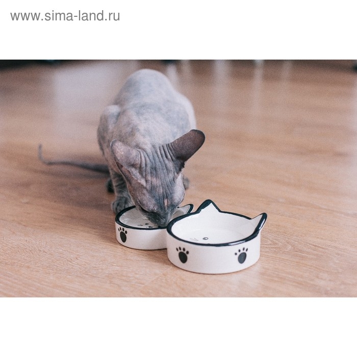 Миска керамическая "Кошачье семейство" 40/60 мл  двойная 19 х 10,5 х 3,5 см, бело-чёрная