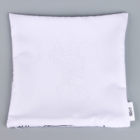 Хэллоуин. Наволочка под раскраску &laquo;Паутина&raquo;, 30 х 30 см