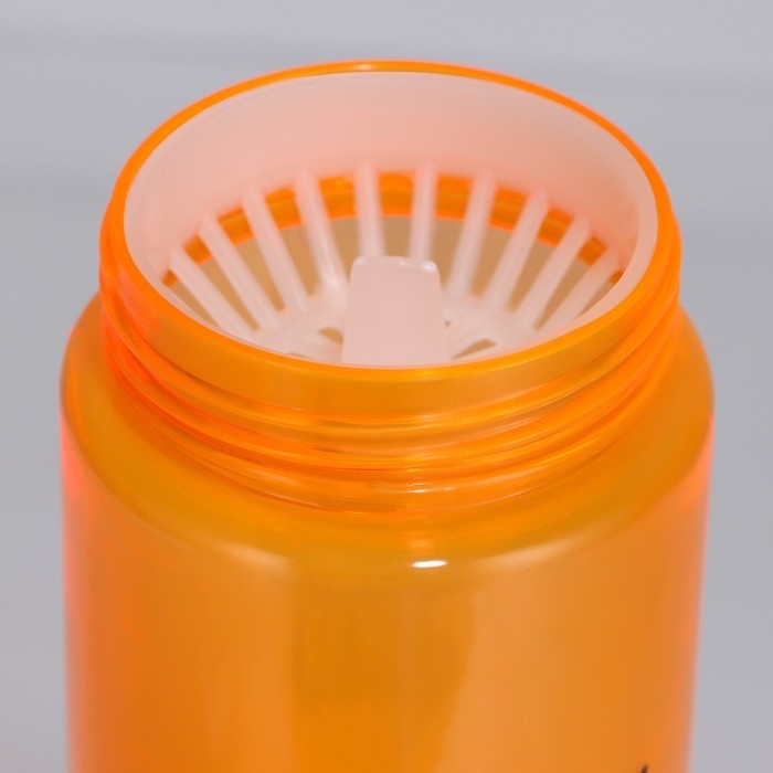 Бутылка для воды &laquo;Пушистый&raquo;, 600 мл