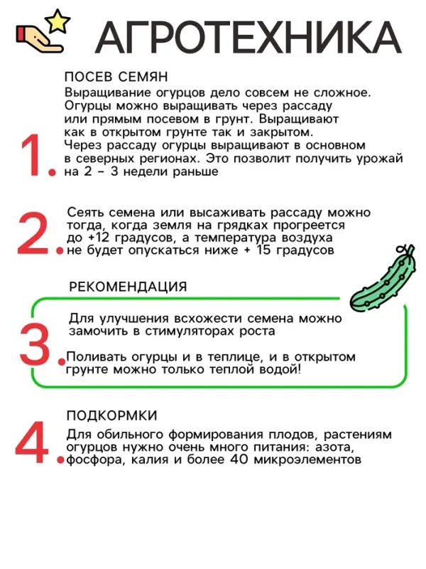 Семена Огурец Гармонист F1 10 шт. Уд. с. корнишон