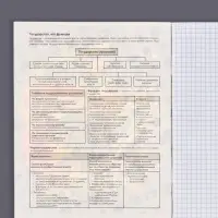 Тетрадь предметная 48 листов в клетку Calligrata, &laquo;Кеды. Обществознание&raquo;, картонная обложка