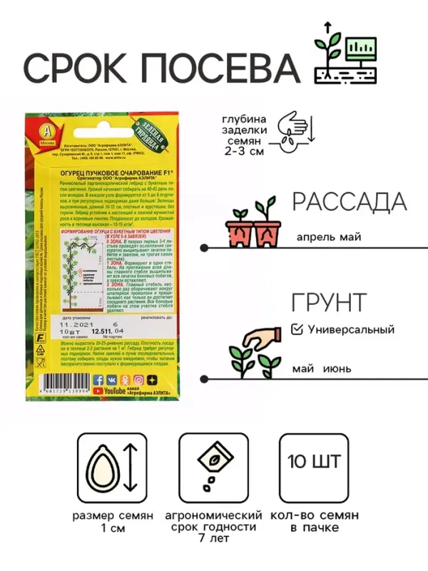 Семена Огурец "Пучковое очарование", F1, ц/п, 10 шт