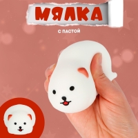 Мялка &laquo;Толстый котик&raquo; с пастой