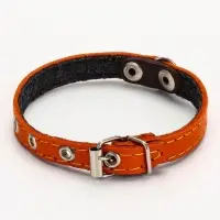 Ошейник кожаный однослойный  на  фетре неукрашенный, 1,2 см, ОШ 20-26 см,