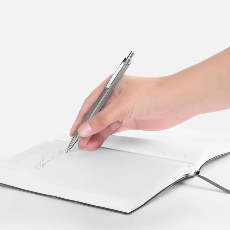 Ручка шариковая Alumno, серая