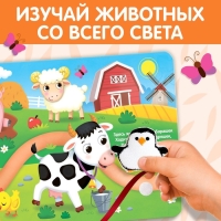 Книжка с липучками и игрушкой &laquo;Путешествие вокруг света&raquo;, 12 стр.