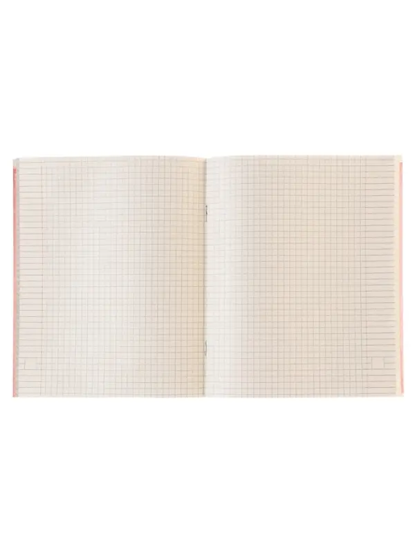 Тетрадь предметная 48 листов в клетку Calligrata &laquo;3D. Алгебра&raquo;, серые листы