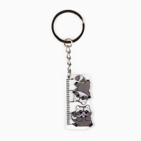 Брелок линейка для ключей &laquo;Енотик&raquo;, 2.9 х 10 см