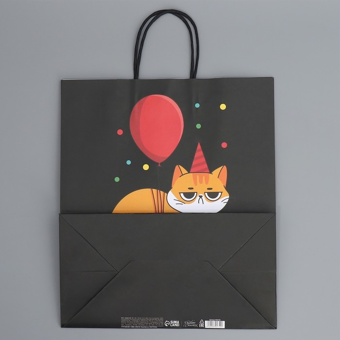 Пакет подарочный крафтовый, упаковка, &laquo;Киса&raquo;, 28 х 32 х 15 см