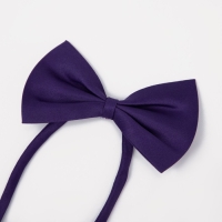 Подтяжки детские &laquo;Выбражулька&raquo;, ширина 2.5 см, бабочка, цвет фиолетовый