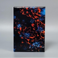 Папка для семейных документов &laquo;Docs&raquo;, 8 файлов А4