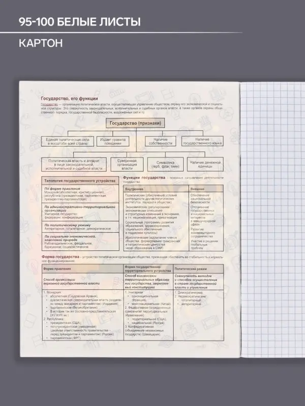 Тетрадь предметная 48 листов в клетку Calligrata, &laquo;Кеды. Обществознание&raquo;, картонная обложка