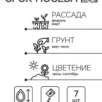 Семена цветов Катарантус "Пацифика Априкот", 7 шт