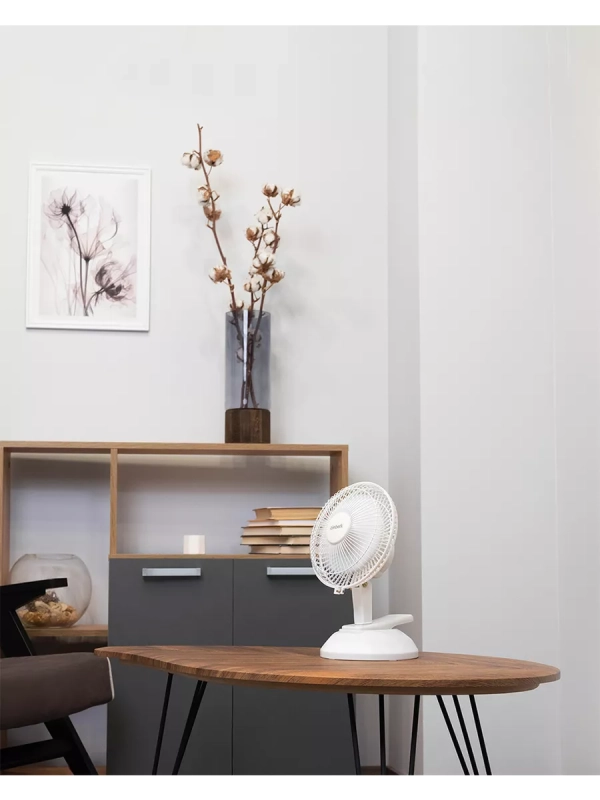 Вентилятор настольный мини T-DF601