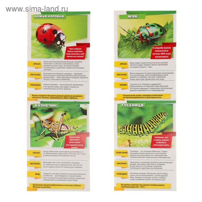 Мини-энциклопедии &laquo;Мир животных&raquo;, 8 шт. по 20 стр.