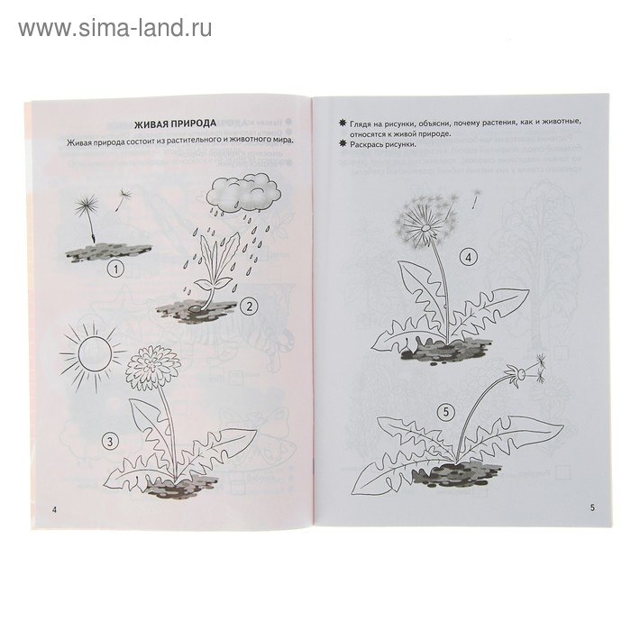 Рабочая тетрадь для детей 5-6 лет &laquo;Знакомимся с окружающим миром&raquo;, Бортникова Е.