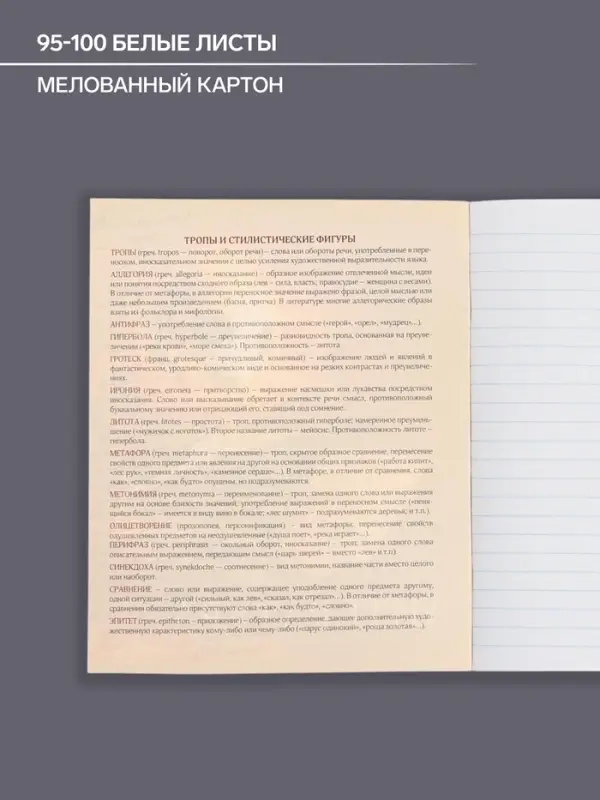 Тетрадь предметная 48 листов в линейку Calligrata, &laquo;Футбол. Литература&raquo;, обложка мелованный картон