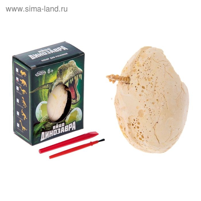 Набор археолога &laquo;Стегозавр&raquo;, серия &laquo;Окаменелое яйцо динозавра&raquo;