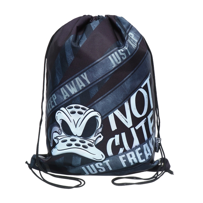 Мешок для обуви 480 х 360 мм, Феникс, светоотражающие полосы, "Утка-фрик"