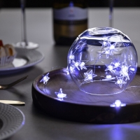 Гирлянда &laquo;Нить&raquo; 2 м роса с насадками &laquo;Звезда&raquo;, IP20, серебристая нить, 20 LED, свечение белое, 2 режима, ААх2