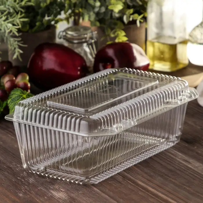 Контейнер одноразовый с неразъёмной крышкой ПР-К-29, пластик, 500 мл, 24.8&times;15.2&times;9.2 см, прозрачный