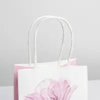 Пакет подарочный крафтовый, упаковка, &laquo;8 марта&raquo;, 12 х 21 х 9 см