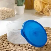 Контейнер круглый Доляна, пищевой, 500 мл, прозрачный, крышка синяя