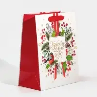 Пакет подарочный новогодний ламинированный &laquo;Чудесного Нового Года&raquo;, MS 18 х 23 х 10 см