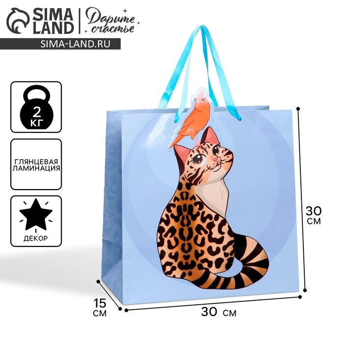 Пакет подарочный, упаковка, &laquo;Кот&raquo;, 30 х 30 х 15 см