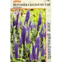 Семена Вероника колосистая Голубая 0,1 г