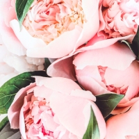 Пакет подарочный ламинированный горизонтальный &laquo;Белые бутоны&raquo;, L 40 &times; 31 &times; 14 см