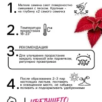 Семена цветов Колеус Визард Вельвет ред, 10шт