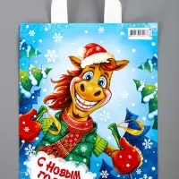 Пакет "Чемпион", полиэтиленовый с петлевой ручкой, 28х35 см, 55 мкм