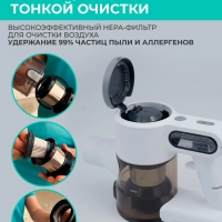 Вертикальный пылесос (беспроводной) для дома T-VCH-65