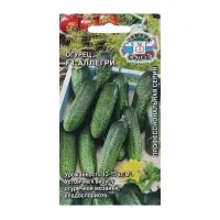Семена Огурец &laquo;Аллегри&raquo;, F1, 8 шт., &laquo;СеДеК&raquo;