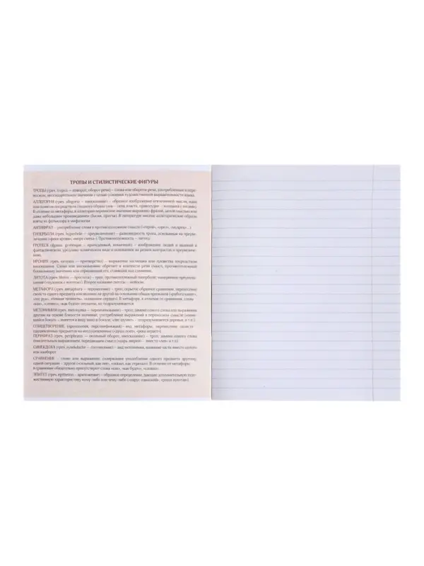 Тетрадь предметная 48 листов в линейку Calligrata &laquo;3D. Литература&raquo;, серые листы