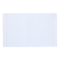 Тетрадь 48 листов в клетку "Реально крутой Капибара", обложка мелованный картон, блок 65 г/м2, 5В МИКС