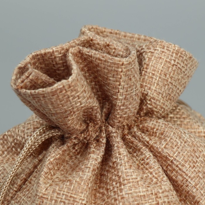 Мешок с термонаклейкой &laquo;Белочка&raquo;, 16 х 24 см +/- 1.5 см, Новый год