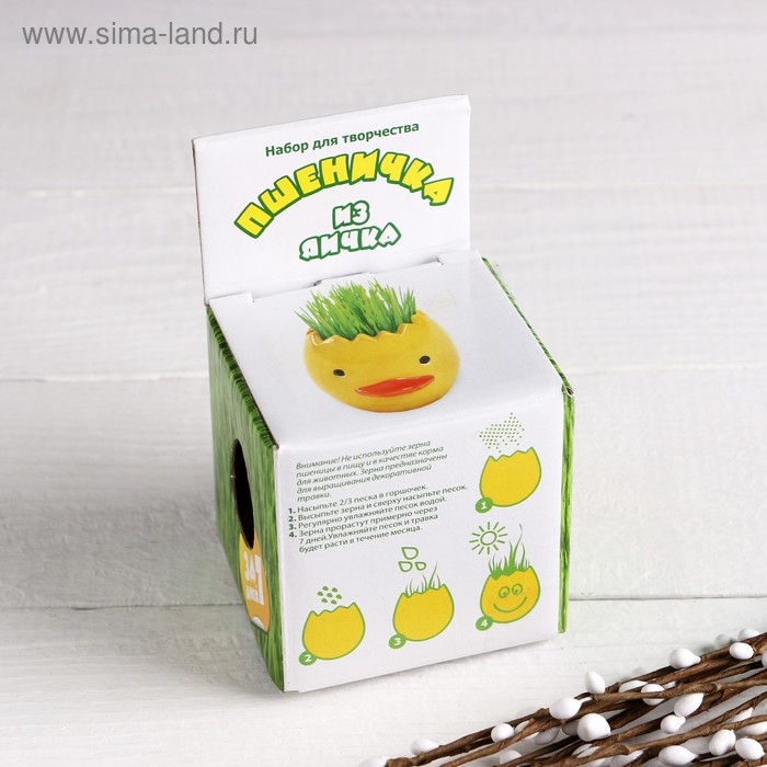 Набор для выращивания "Пшеничка из яичка"