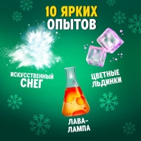 Набор для опытов &laquo;Новогодняя лаборатория&raquo;, 10 опытов, 16 предметов