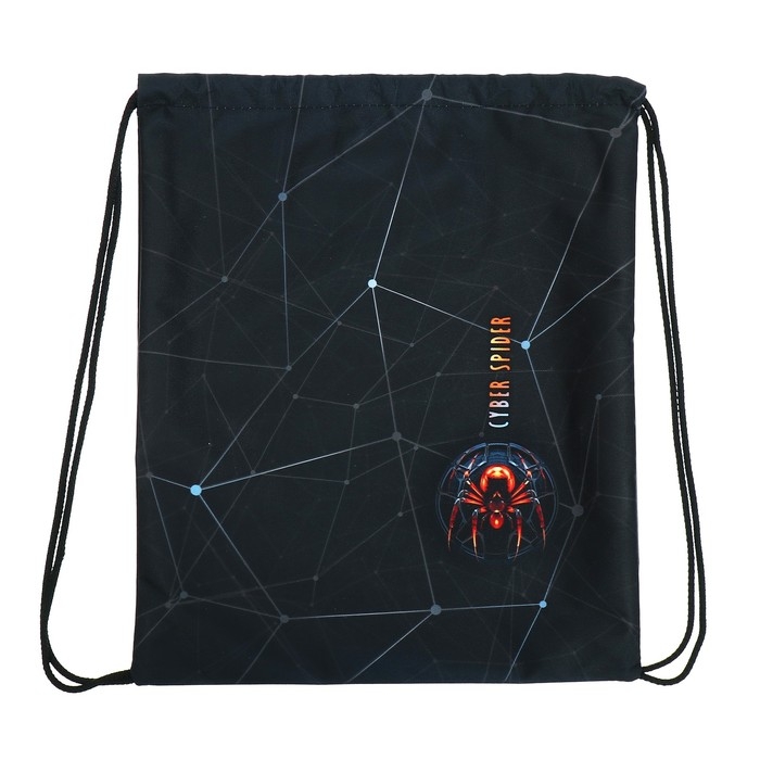 Мешок для обуви 435 х 360 мм, Stavia (плотность 600D с водоотталкивающей ПУ-пропиткой) "Паук"